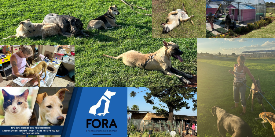 FORA Friends of Recued Animals
