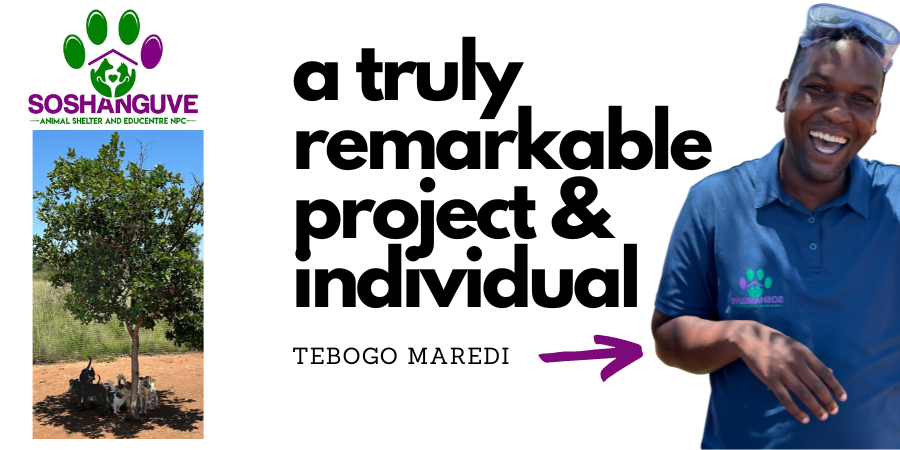 Foto of Tebogo Maredi of Soshunguve Animal Shelter South Africa