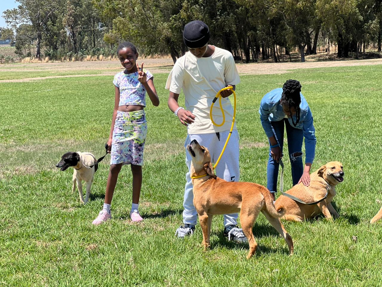 Schüler der PYMA führen Hunde bei FORA Animal Farm spazieren